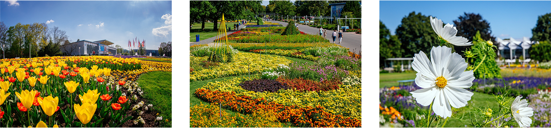 Ansichten des großen Blumenbeets