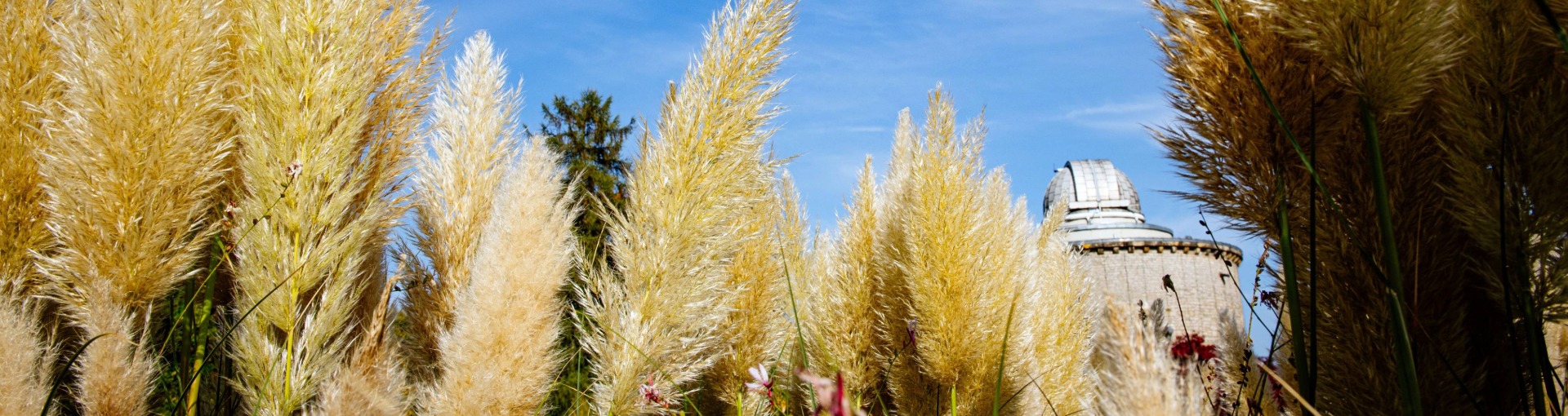 Game of Dragons Game of Dragons